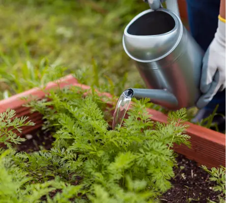 Chabasite France Vente De Zeolithe Naturelle Dans Les Landes 40 Dans Le Gers 32 Filtration Assainissement Chabasite France Vente De Zeolithe Naturelle Dans Les Landes 40 Dans Le Gers 32 Filtration Assainissement